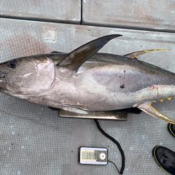 渡船屋たにぐち 釣果