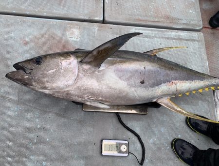 渡船屋たにぐち 釣果