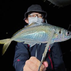 シースナイパー海龍 釣果