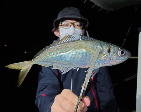 シースナイパー海龍 釣果