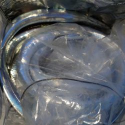 シースナイパー海龍 釣果