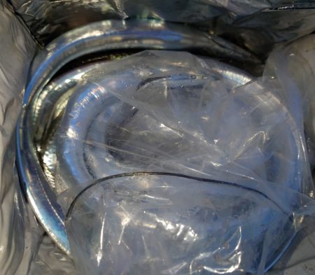 シースナイパー海龍 釣果