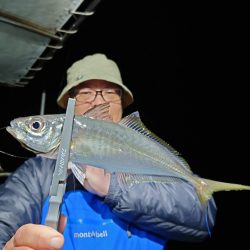 シースナイパー海龍 釣果