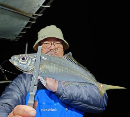シースナイパー海龍 釣果