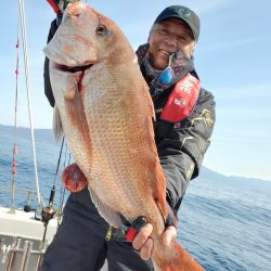 シーライオン 釣果