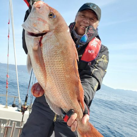 シーライオン 釣果