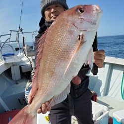 シーライオン 釣果