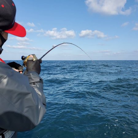 シーライオン 釣果