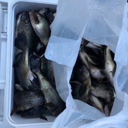 フィッシング　キッタカ 釣果