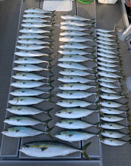 SeaRide(シーライド) 釣果