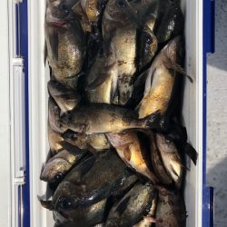 フィッシング　キッタカ 釣果