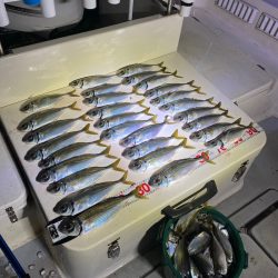 Monster Rush! 釣果