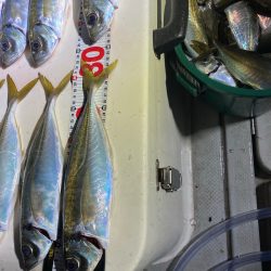 Monster Rush! 釣果