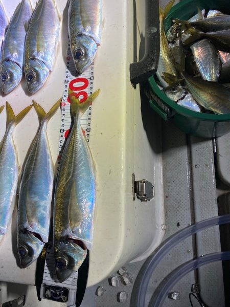 Monster Rush! 釣果