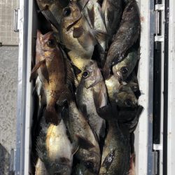 フィッシング　キッタカ 釣果