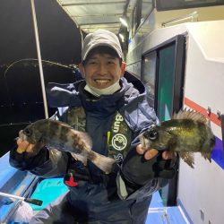 ヤザワ渡船 釣果