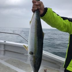 ランスルー 釣果