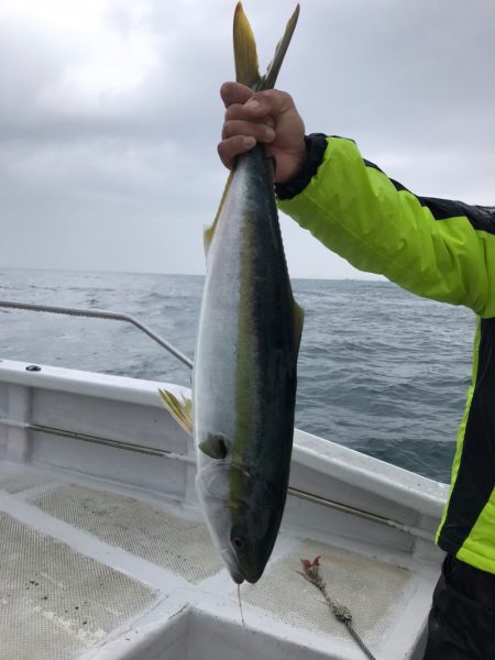 ランスルー 釣果