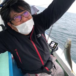 ヤザワ渡船 釣果