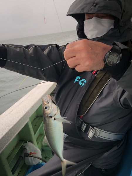 ヤザワ渡船 釣果