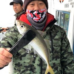 ヤザワ渡船 釣果