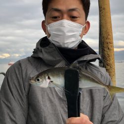 ヤザワ渡船 釣果
