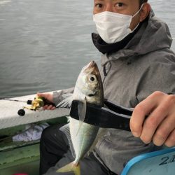 ヤザワ渡船 釣果