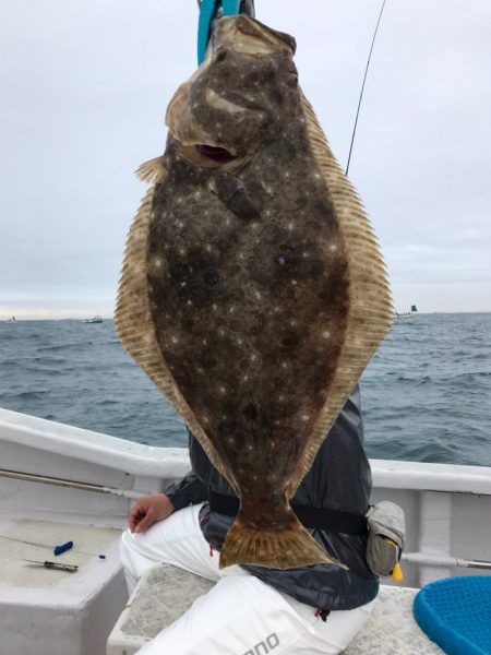 ランスルー 釣果