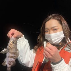 ヤザワ渡船 釣果