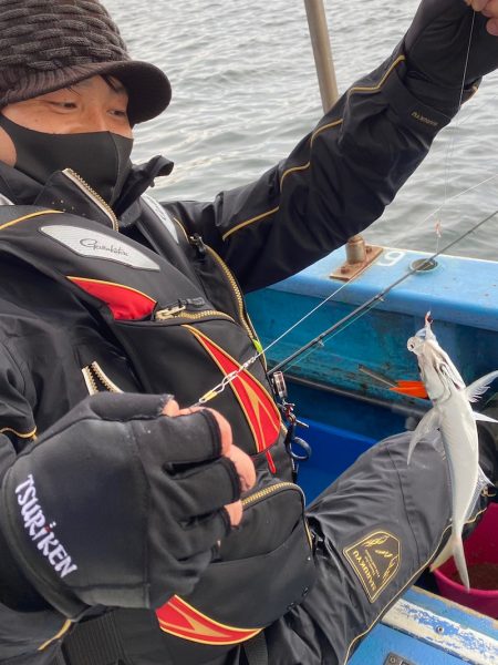 ヤザワ渡船 釣果