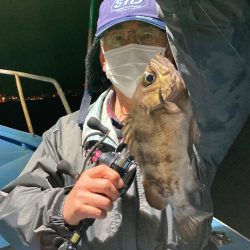 ヤザワ渡船 釣果