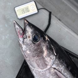 渡船屋たにぐち 釣果