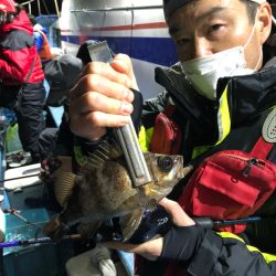 ヤザワ渡船 釣果