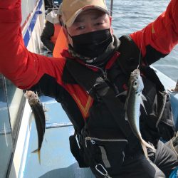 ヤザワ渡船 釣果