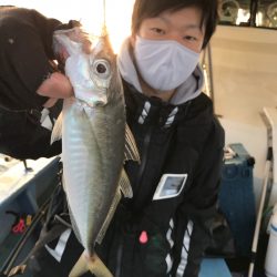 ヤザワ渡船 釣果