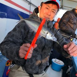 ヤザワ渡船 釣果