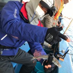 ヤザワ渡船 釣果