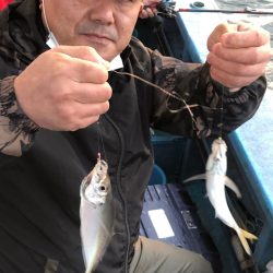 ヤザワ渡船 釣果