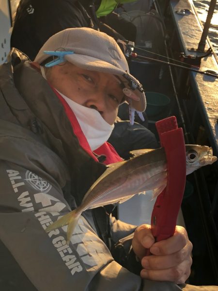 ヤザワ渡船 釣果