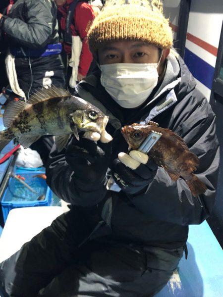 ヤザワ渡船 釣果