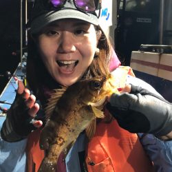 ヤザワ渡船 釣果