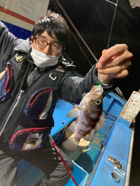 ヤザワ渡船 釣果