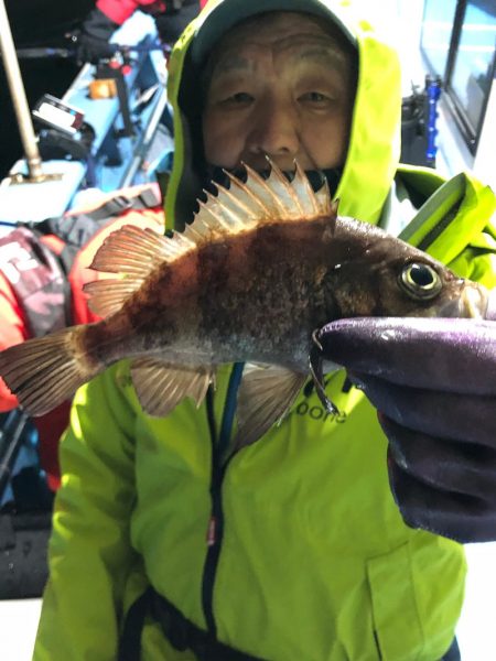 ヤザワ渡船 釣果