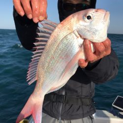 ランスルー 釣果