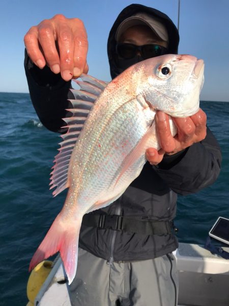 ランスルー 釣果