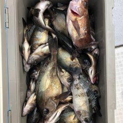 フィッシング キッタカ 釣果