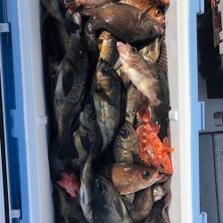 フィッシング　キッタカ 釣果