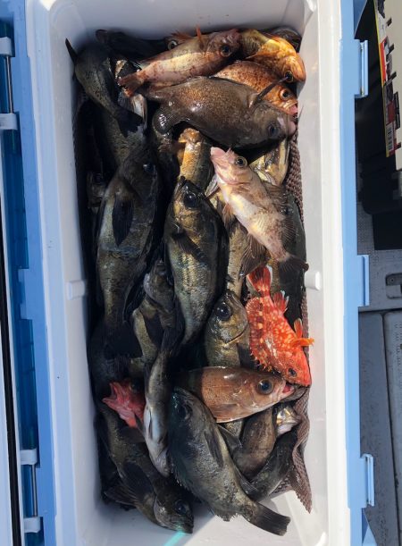 フィッシング　キッタカ 釣果