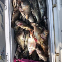 フィッシング　キッタカ 釣果