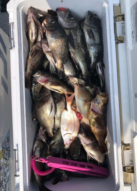 フィッシング　キッタカ 釣果